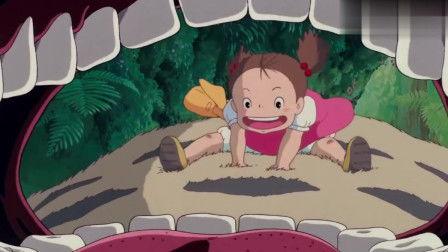 龙猫 在线观看,在线重温温馨童话时光